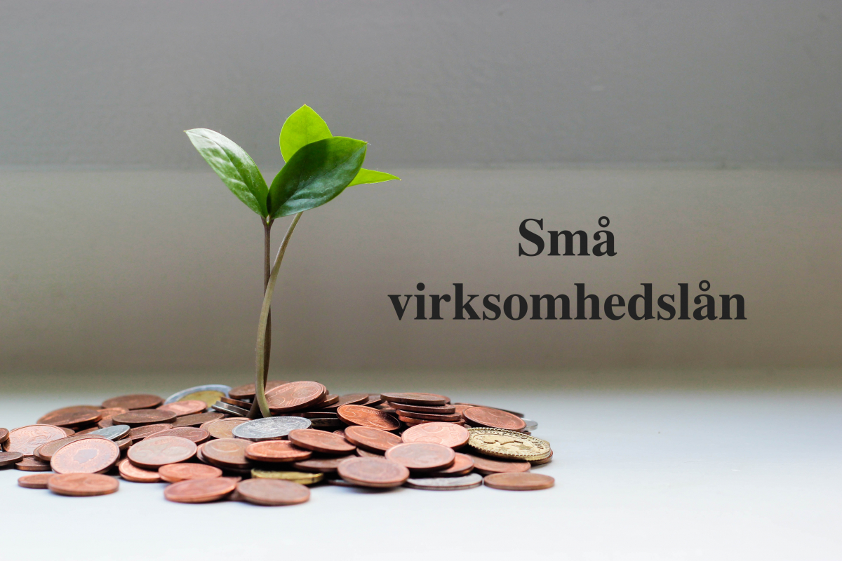 Små virksomhedslån