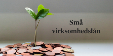 Små virksomhedslån